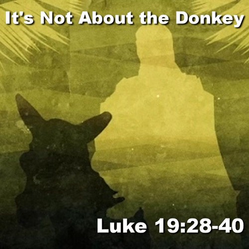 The King is Coming - It's Not About the Donkey